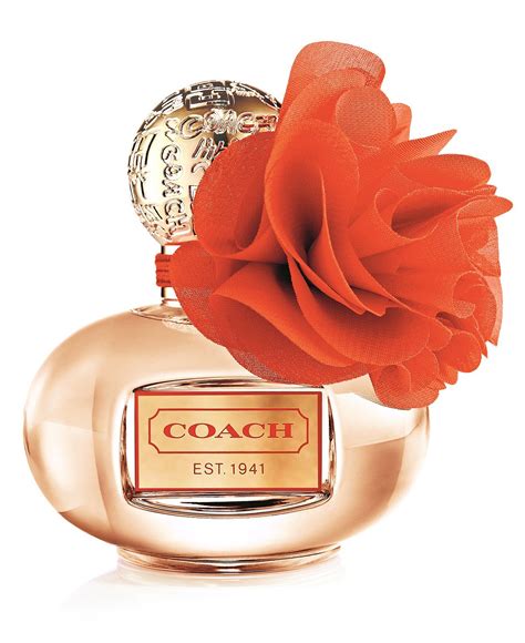 coach perfume macy's